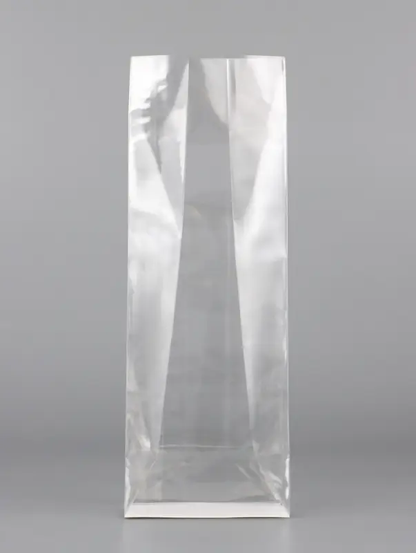 Пакет с жестким дном, прозрачный, 6&times;8&times;23 см