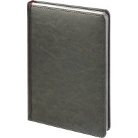 Ежедневник недатированный А5+&nbsp;SIDNEY NEBRASKA серый,сереб.обр,136л 3-128/22