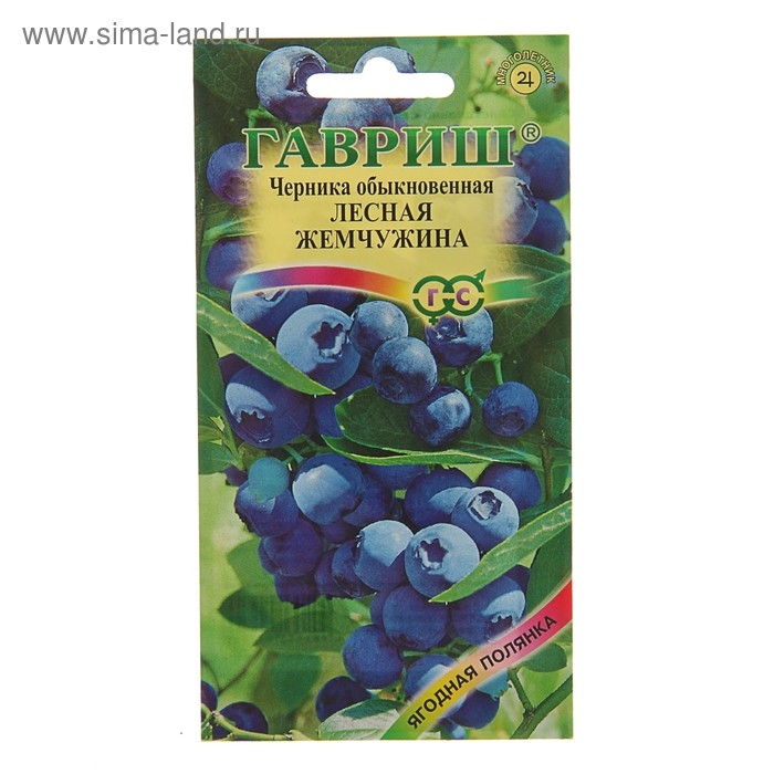 Семена Черника обыкновенная  Семена Черника обыкновенная "Лесная жемчужина", ц/п,  30 шт.