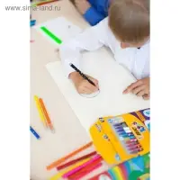 Фломастеры 10 цветов BIC Kids Magic и 2 обесцвечивающих, детские, стираемые