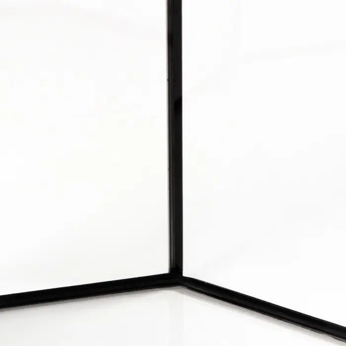 Аквариум «Восьмигранный» с крышкой, 32 литра, 29×29×45/50 см, чёрный Аквариум «Восьмигранный» с крышкой, 32 литра, 29×29×45/50 см, чёрный