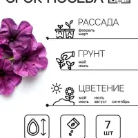 Семена цветов Петуния &laquo;Мамбо&raquo; F1 фиолетовая многоцветковая, 7 шт., однолетник, &laquo;Аэлита&raquo;