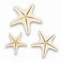 Набор из 3 морских звезд, размер 5-7 см, 7-10  см, 10-12 см, белые