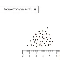 Семена Капуста белокочанная &laquo;Мегатон&raquo;, F1, 10 шт., &laquo;Престиж семена&raquo;