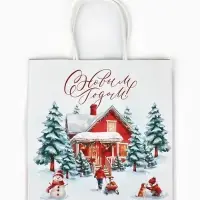 Набор пакетов крафтовых «Новогодний», 10 шт, 22 × 22 × 11 см Набор пакетов крафтовых «Новогодний», 10 шт, 22 × 22 × 11 см