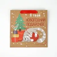 Пакеты подарочные новогодние &laquo;С новым годом&raquo;, набор 5 шт., 22&times;22&times;11 см