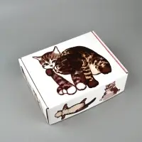 Коробка-шкатулка, подарочная &laquo;Котики&raquo;, 27&times;21&times;9 см
