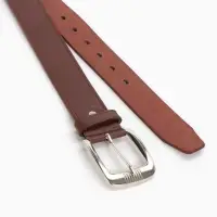 Ремень мужской, 120&times;3.6 см, гладкий, винт, пряжка металл, коричневый