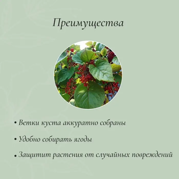 Кустодержатель, d=40 см, h=60 см, ножка d=1 см, металл, набор 2 полудуги, зелёный