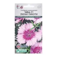 Семена цветов гвоздика межвидовая чиба «Лилак Пикоти», 5 шт. Семена цветов гвоздика межвидовая чиба «Лилак Пикоти», 5 шт.