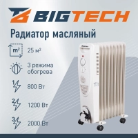 Радиатор масляный BigTech WBH001 (9 секций)