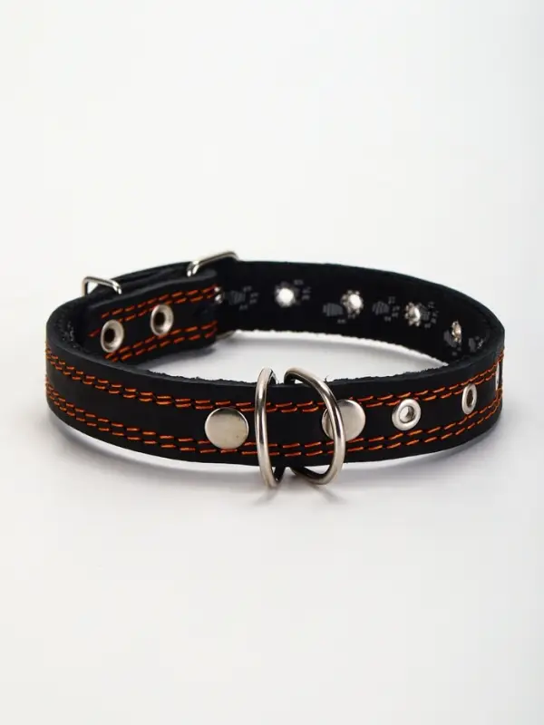 Ошейник кожаный усиленный капроном с полукольцом, 55&times;2.5 см, ОШ 27-53 см, чёрный