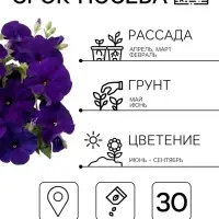 Семена цветов Петуния грандифлора &laquo;Аладдин&raquo; синяя, 30 шт.