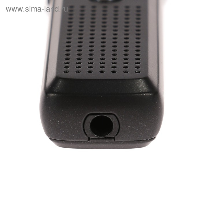 Диктофон Ritmix RR-120 8GB, MP3/WAV, дисплей, металл корпус, черный Диктофон Ritmix RR-120 8GB, MP3/WAV, дисплей, металл корпус, черный