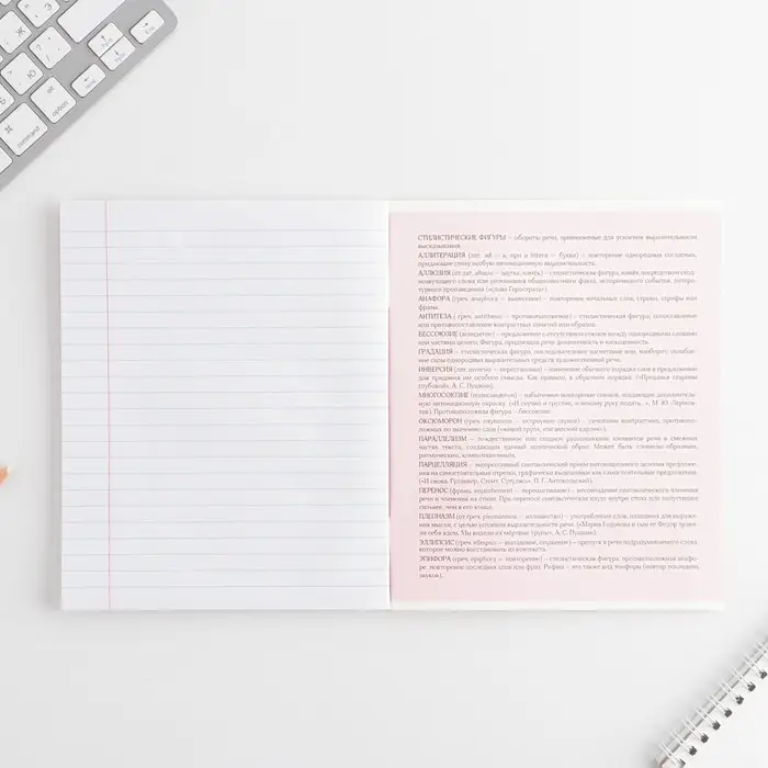 Тетрадь в линейку, предметная, 48 л.,на скрепке, А5 &laquo;РОЗОВАЯ СЕРИЯ. Литература&raquo;