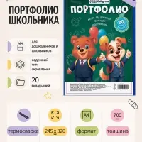 Папка-портфолио А4 Calligrata, пластиковая, с 20 вкладышами, МИКС