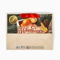 Пакет подарочный новогодний бумажный, &laquo;Новогодняя сказка&raquo;, 24&times;20&times;11 см