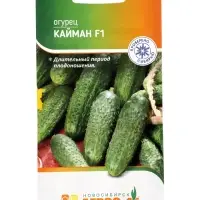 Семена Огурец &laquo;Кайман&raquo;, F1, 8 шт., &laquo;Агросс&raquo;