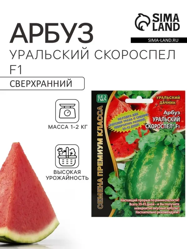 Семена Арбуз &laquo;Уральский Скороспел&raquo;, F1, 3 шт., &laquo;Уральский дачник&raquo;