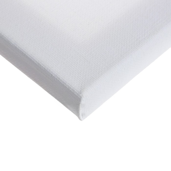 Холст на подрамнике 1,6х50х60 см, Calligrata, хлопок 100%, акриловый грунт, мелкозернистый, 280г/м² Холст на подрамнике 1,6х50х60 см, Calligrata, хлопок 100%, акриловый грунт, мелкозернистый, 280г/м²