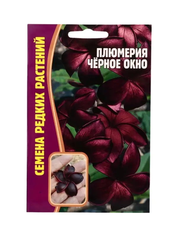 Семена цветов Плюмерия Черное Окно  3 шт.  12.29 г.