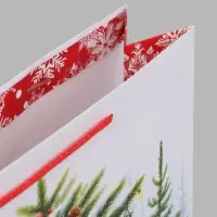 Пакет подарочный &laquo;Сказочные гномы&raquo;, 33&times;10&times;42.5 см