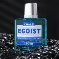Туалетная вода мужская CHALE EGOIST STORM, 90 мл
