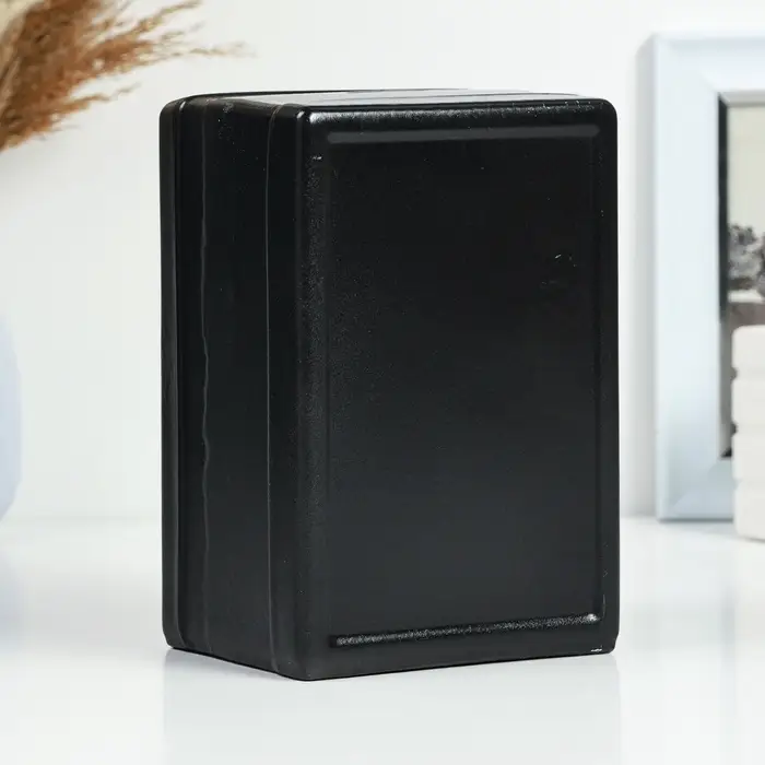 Копилка для денег &laquo;Сейф&raquo;, гипс, чёрный, 12&times;10&times;18 см