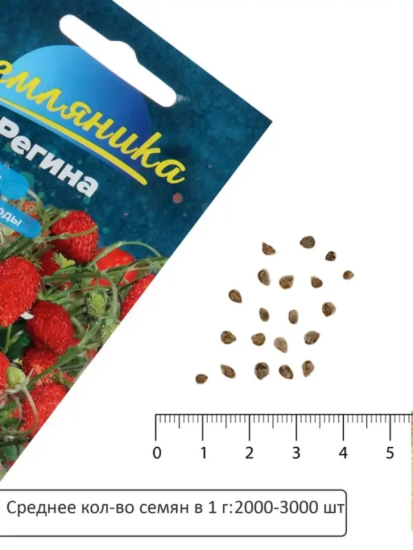 Семена Земляника &laquo;Регина&raquo;, ремонтантная, 0.03 г, &laquo;Семена Алтая&raquo;