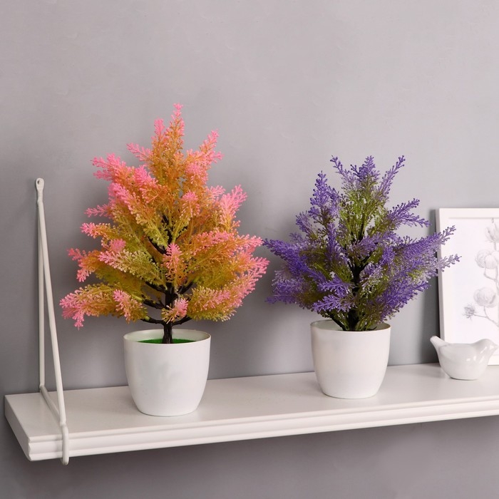 Бонсай в горшке Бонсай в горшке "Кипарисовик" 9х30 см, микс