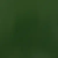 Пленка для цветов, двусторонняя, зелёная, 0.6&times;10 м