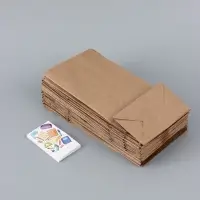 Пакеты подарочные с наклейками &laquo;Школьные&raquo;, 12&times;24&times;8 см, крафт, набор 30 шт.