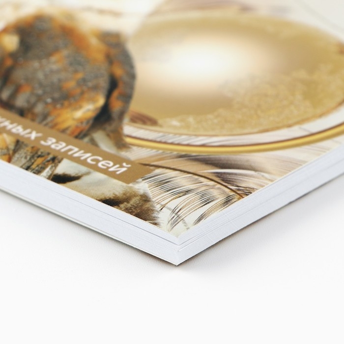 Ежедневник на гребне А5, 60 листов «День учителя: Золотому учителю» Ежедневник на гребне А5, 60 листов «День учителя: Золотому учителю»