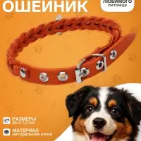 Ошейник, 1.2&times;36 см, ОШ 20-30 см, плетёный, кожа, оранжевый