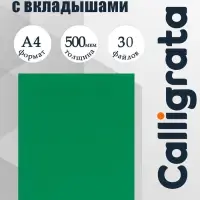 Папка с 30 вкладышами А4, 500 мкм, Calligrata, текстура &laquo;песок&raquo;, зелёная