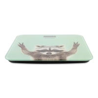 Весы напольные H-BS03589