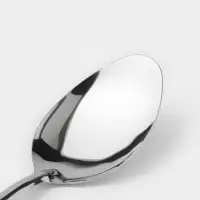 Набор столовых ложек Доляна &laquo;Оптима&raquo;, длина 19 см, набор 12 шт., нержавеющая сталь, серебристый