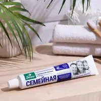 Зубная паста &laquo;Весна&raquo;, классическая, для всей семьи, 90 г