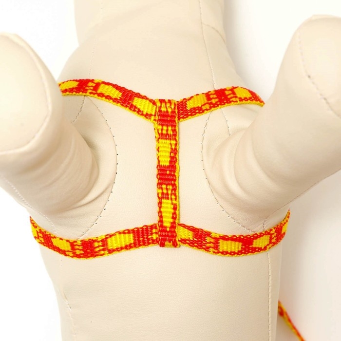 Комплект Комплект "Большая лапа", ширина 1 см, поводок 120 см, шлейка 25-36 см, оранжево-жёлтый