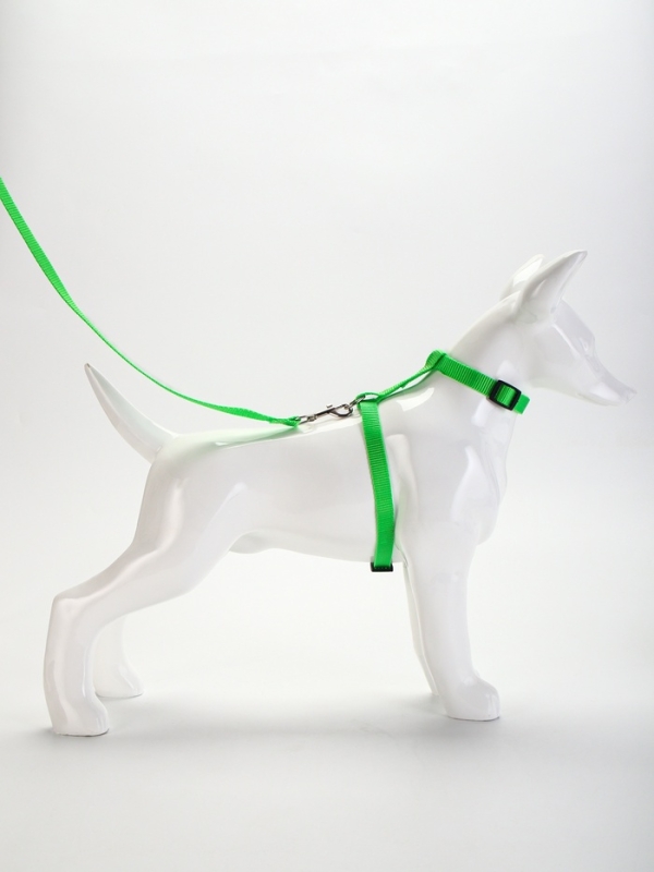 Комплект для кошек, ширина 1,5 см, ОШ 16,5-27 см, ОГ 21-35 см, поводок 120 см, зелёный