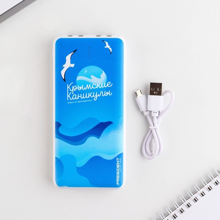 Зарядное устройство &laquo;Крымские каникулы&raquo;, 8000мА,модель PB-23, 14,5 х 6,9 см