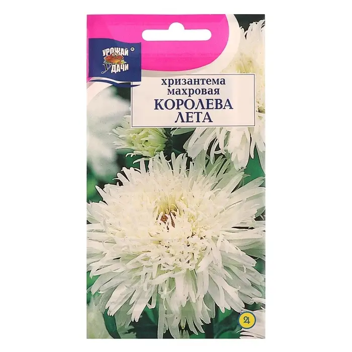 Семена цветов Хризантема многоцветковая &laquo;Королева лета&raquo;, 0.03 г, &laquo;УРОЖАЙ УДАЧИ&raquo;