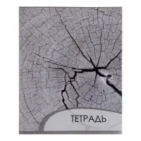 Тетради 4 штуки, 96 листов в клетку Calligrata &laquo;Металл&raquo;, обложка мелованный картон, блок офсет