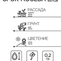 Семена цветов Нивяник "Аляска", крупноцветковый, Мн, 0,2 г