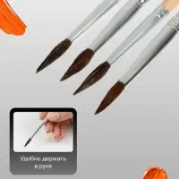 Набор кистей для рисования, белка, 4 штуки: № 1, 2, 3, 4, круглые, деревянная ручка, международный размер