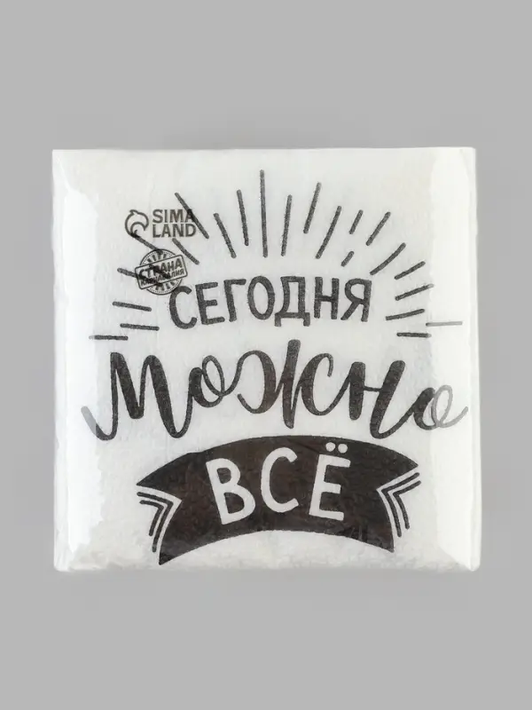 Салфетки бумажные однослойные &laquo;Сегодня можно всё&raquo;, 24&times;24 см, набор 100 шт.