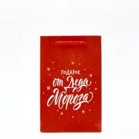 Пакет подарочный «Новогодний подарок», с носком для подарков, 18 × 23 × 11 см Пакет подарочный «Новогодний подарок», с носком для подарков, 18 × 23 × 11 см