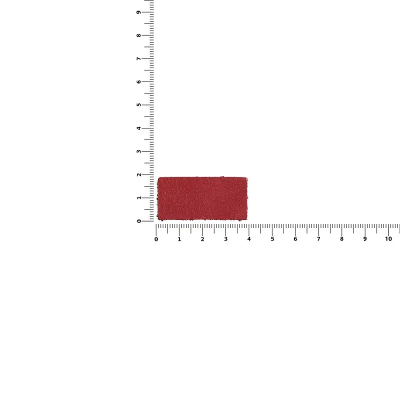Лейбл кожаный Pasek, XS, красный
