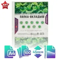 Файл - вкладыш Calligrata, А4, 45 мкм, глянцевый, вертикальный, 100 штук