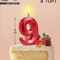 Свеча в торт на шпажке &laquo;Цифра 9&raquo;, красная, 5 см